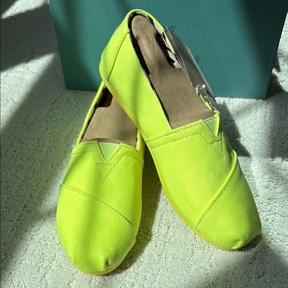 Tom’s Vibrant Lemon Lime Canvas